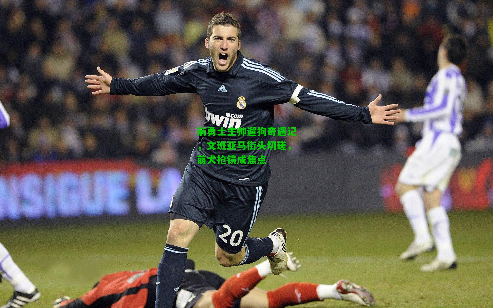 前勇士主帅遛狗奇遇记,文班亚马街头切磋,萌犬抢镜成焦点