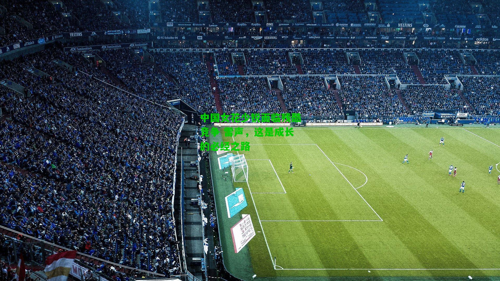 中国女花少锐面临残酷竞争 雷声,这是成长的必经之路